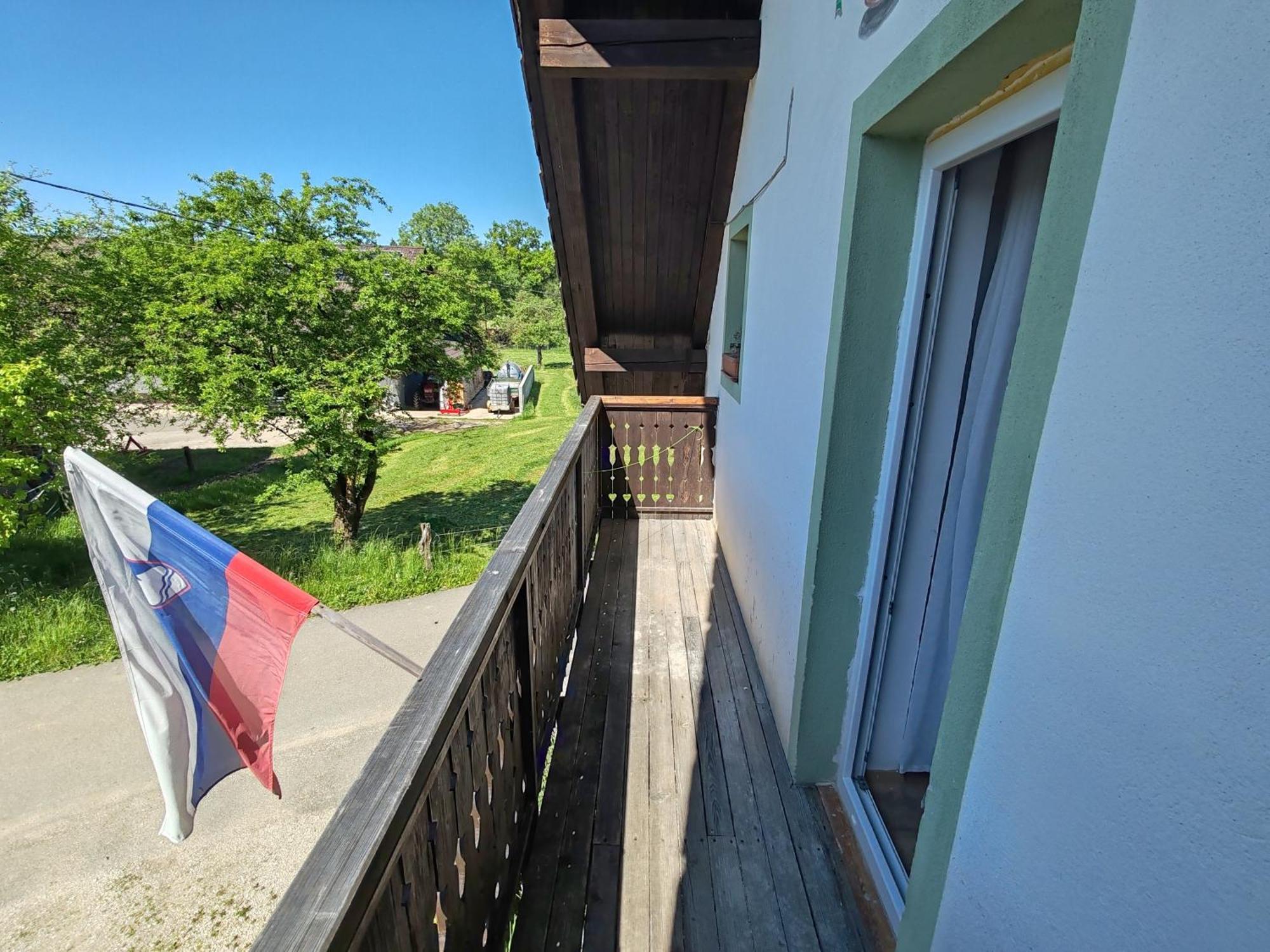 Apartment Ursa Major Preddvor Εξωτερικό φωτογραφία